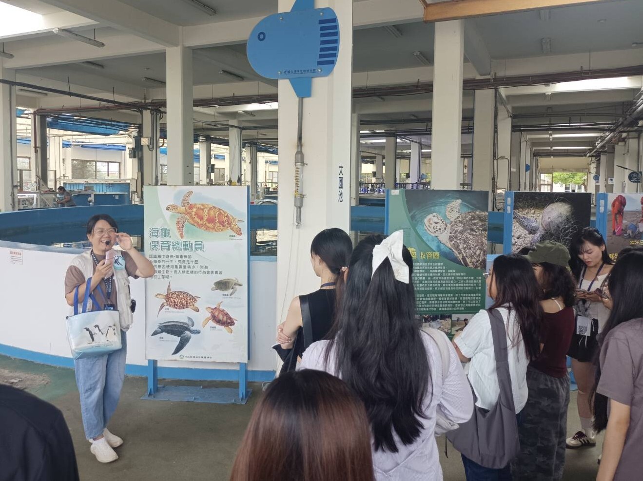 Students learning about sea turtle conservation